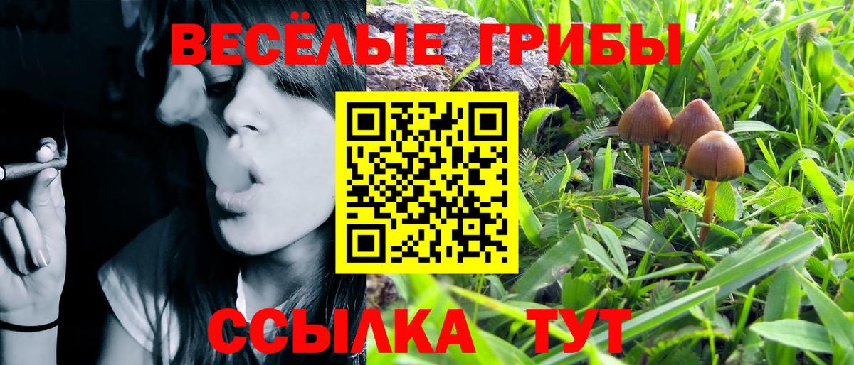 Галлюциногенные грибы мицелий  Вход с VPN  Берёзовский  Галлюциногенные грибы мухоморы 