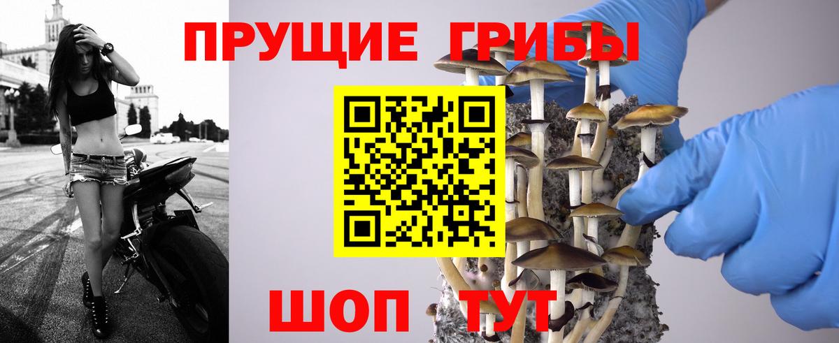 Галлюциногенные грибы Magic Shrooms Берёзовский
